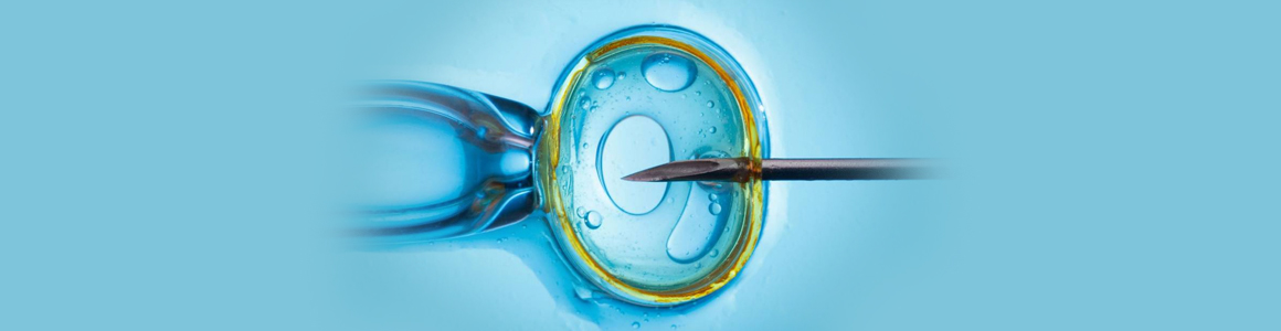 IVF - In Vitro Fertilisation